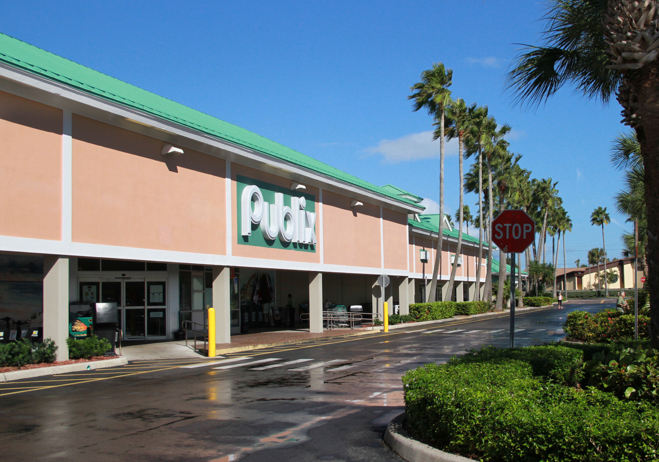 Driftwood Plaza Publix